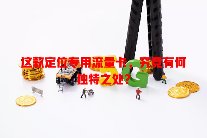 这款定位专用流量卡，究竟有何独特之处？