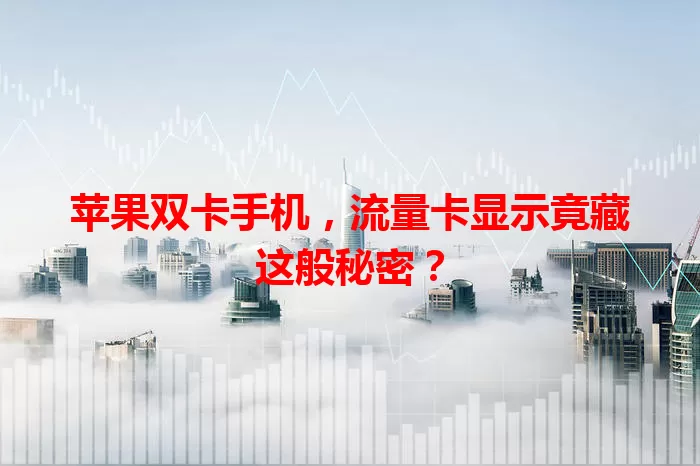 苹果双卡手机，流量卡显示竟藏这般秘密？