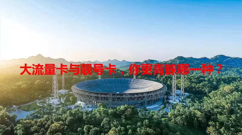 大流量卡与靓号卡，你更青睐哪一种？