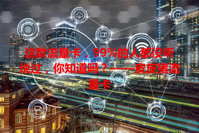 这款流量卡，99%的人都没听说过，你知道吗？——皮皮猪流量卡