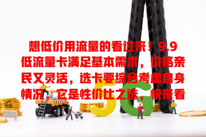 想低价用流量的看过来！9.9低流量卡满足基本需求，价格亲民又灵活，选卡要综合考虑自身情况，它是性价比之选，快来看看吧！