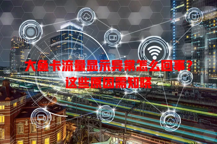大鱼卡流量显示异常怎么回事？这些原因需知晓