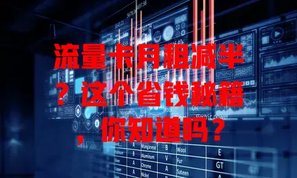 流量卡月租减半？这个省钱秘籍，你知道吗？