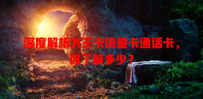 深度解析大王卡流量卡通话卡，你了解多少？
