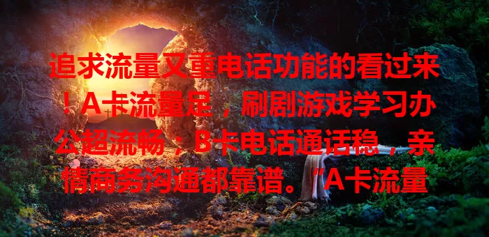 追求流量又重电话功能的看过来！A卡流量足，刷剧游戏学习办公超流畅；B卡电话通话稳，亲情商务沟通都靠谱。“A卡流量B卡电话”组合，满足多样需求，为数字生活保驾护航
