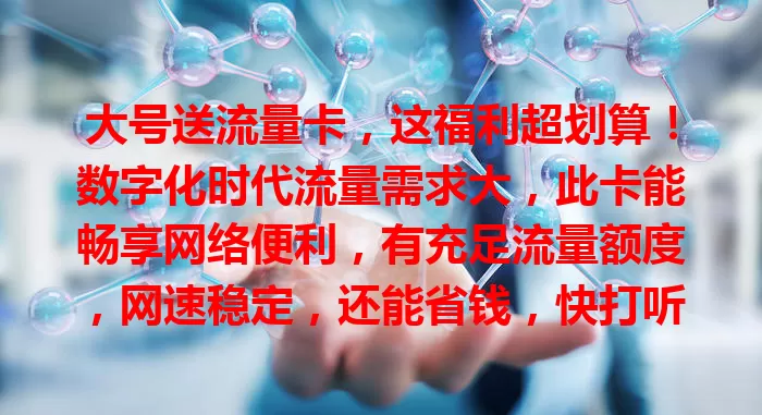 大号送流量卡，这福利超划算！数字化时代流量需求大，此卡能畅享网络便利，有充足流量额度，网速稳定，还能省钱，快打听下开启网络精彩篇章！