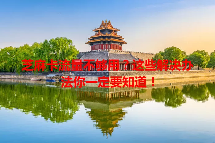 芝麻卡流量不够用？这些解决办法你一定要知道！