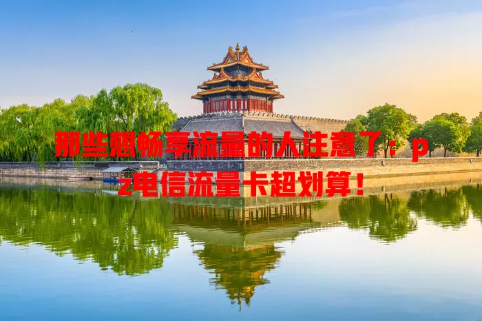 那些想畅享流量的人注意了：pz电信流量卡超划算！