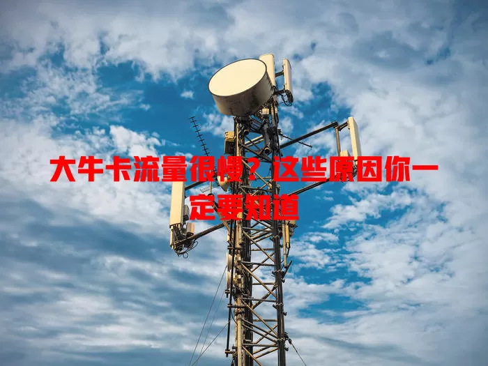 大牛卡流量很慢？这些原因你一定要知道
