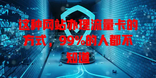 这种网站办理流量卡的方式，99%的人都不知道