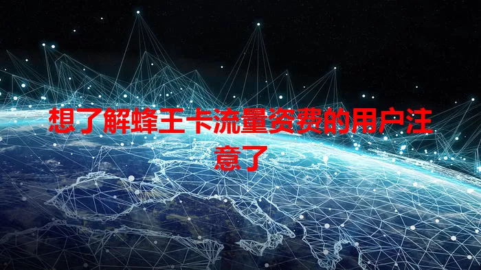 想了解蜂王卡流量资费的用户注意了