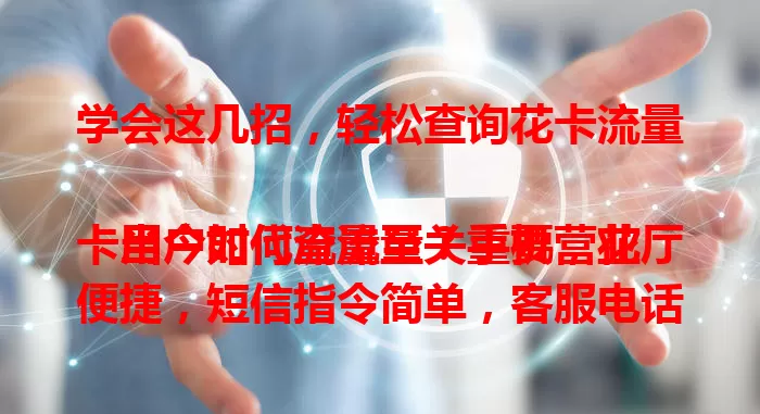 学会这几招，轻松查询花卡流量

当今时代流量至关重要，花卡用户如何查流量？手机营业厅便捷，短信指令简单，客服电话专业。掌握这些，轻松查询，合理规划流量，畅享移动网络畅快体验！