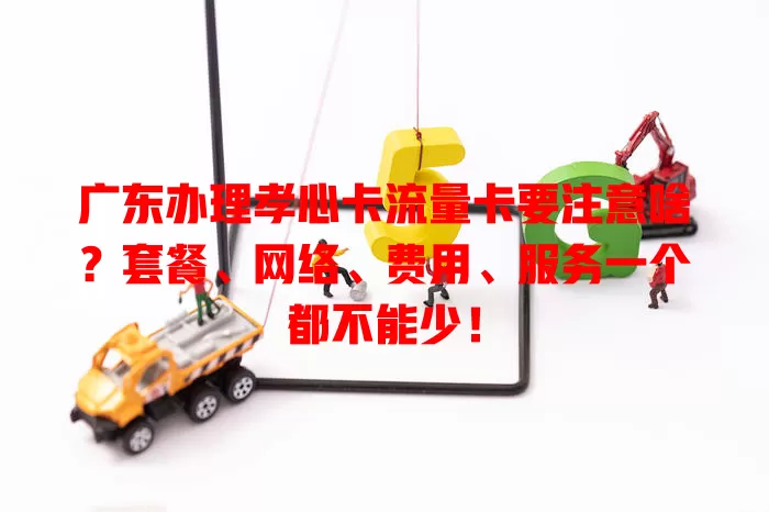 广东办理孝心卡流量卡要注意啥？套餐、网络、费用、服务一个都不能少！
