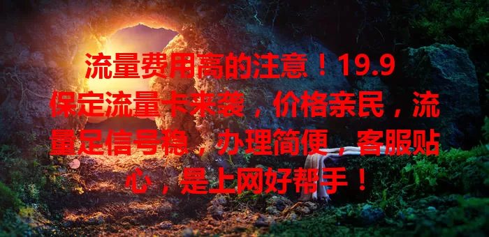 流量费用高的注意！19.9 保定流量卡来袭，价格亲民，流量足信号稳，办理简便，客服贴心，是上网好帮手！