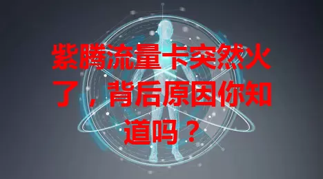 紫腾流量卡突然火了，背后原因你知道吗？