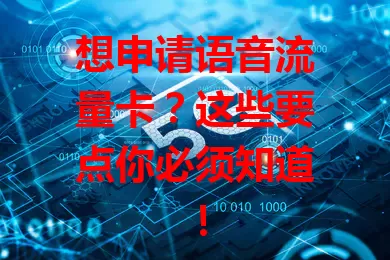 想申请语音流量卡？这些要点你必须知道！