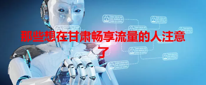 那些想在甘肃畅享流量的人注意了