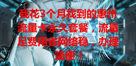 我花3个月找到的惠州流量卡永久套餐，流量足费用省网络稳，办理简便！