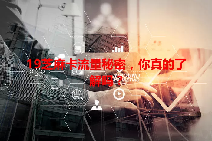 19芝麻卡流量秘密，你真的了解吗？
