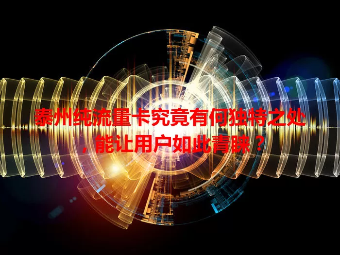 泰州纯流量卡究竟有何独特之处，能让用户如此青睐？