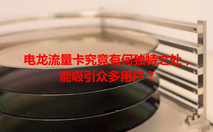 电龙流量卡究竟有何独特之处，能吸引众多用户？