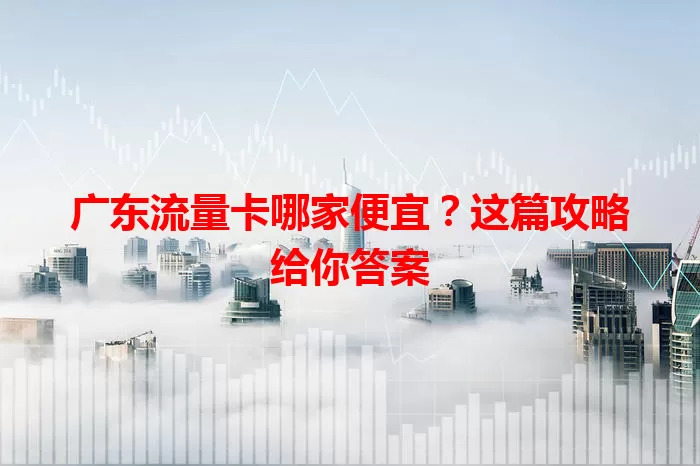 广东流量卡哪家便宜？这篇攻略给你答案