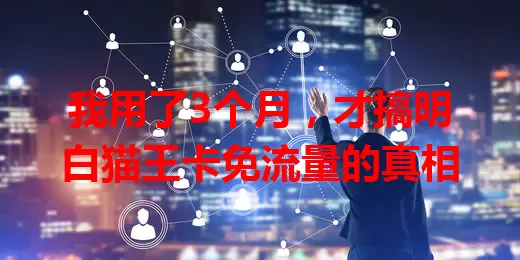 我用了3个月，才搞明白猫王卡免流量的真相
