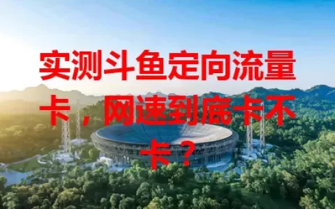 实测斗鱼定向流量卡，网速到底卡不卡？