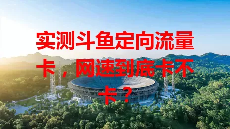 实测斗鱼定向流量卡，网速到底卡不卡？