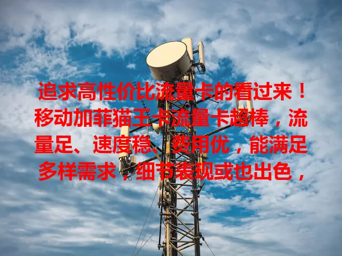 追求高性价比流量卡的看过来！移动加菲猫王卡流量卡超棒，流量足、速度稳、费用优，能满足多样需求，细节表现或也出色，是优质上网好帮手，值得深入了解！