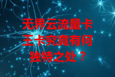 无界云流量卡王卡究竟有何独特之处？