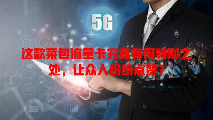 这款菜包流量卡究竟有何特别之处，让众人纷纷点赞？