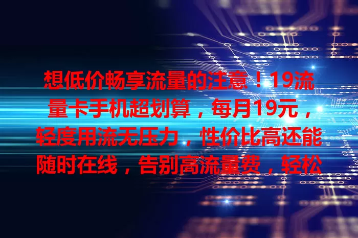 想低价畅享流量的注意！19流量卡手机超划算，每月19元，轻度用流无压力，性价比高还能随时在线，告别高流量费，轻松上网超快乐