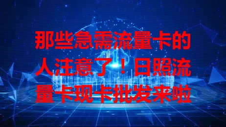 那些急需流量卡的人注意了！日照流量卡现卡批发来啦