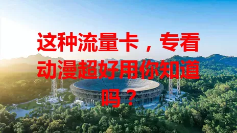 这种流量卡，专看动漫超好用你知道吗？