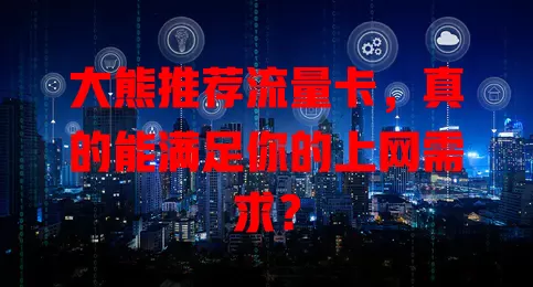大熊推荐流量卡，真的能满足你的上网需求？