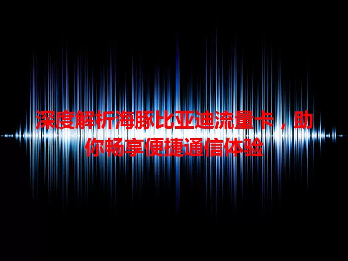 深度解析海豚比亚迪流量卡，助你畅享便捷通信体验