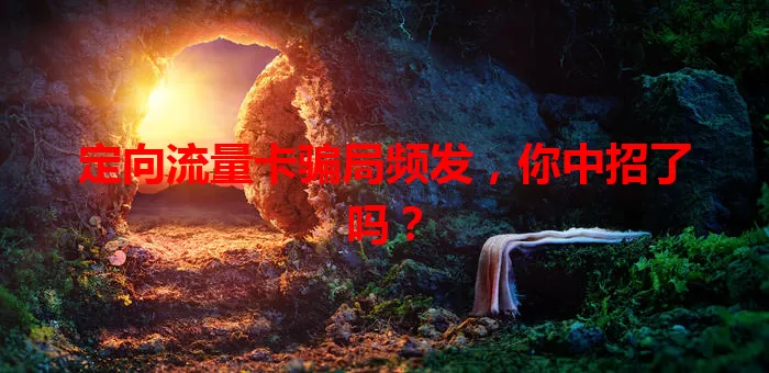 定向流量卡骗局频发，你中招了吗？