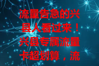 流量告急的兴县人看过来！兴县专属流量卡超划算，流量足、网速快、办理简，上班族学生党都爱，性价比超高，是你的流量救星！