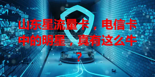 山东星流量卡，电信卡中的明星，真有这么牛？