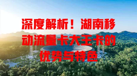 深度解析！湖南移动流量卡大王卡的优势与特色