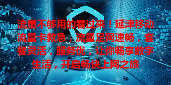 流量不够用的看过来！延津移动流量卡救急，流量足网速畅，套餐灵活，服务优，让你畅享数字生活，开启畅快上网之旅