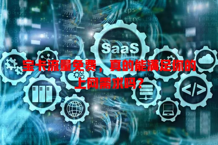 宝卡流量免费，真的能满足你的上网需求吗？