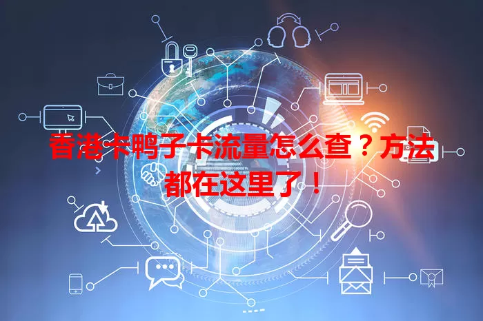 香港卡鸭子卡流量怎么查？方法都在这里了！
