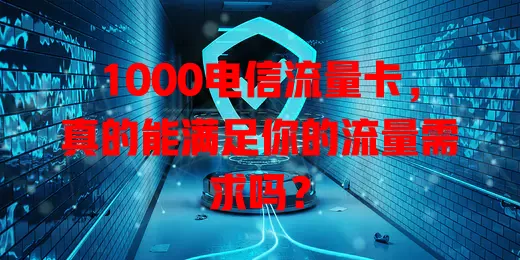 1000电信流量卡，真的能满足你的流量需求吗？