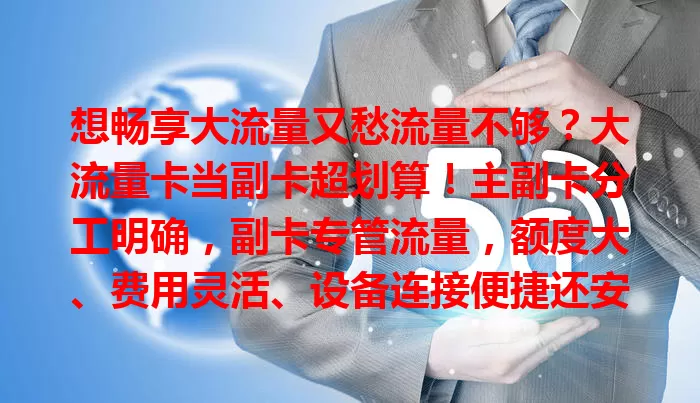想畅享大流量又愁流量不够？大流量卡当副卡超划算！主副卡分工明确，副卡专管流量，额度大、费用灵活、设备连接便捷还安全，精打细算就选它，开启优质网络生活！