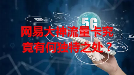 网易大神流量卡究竟有何独特之处？