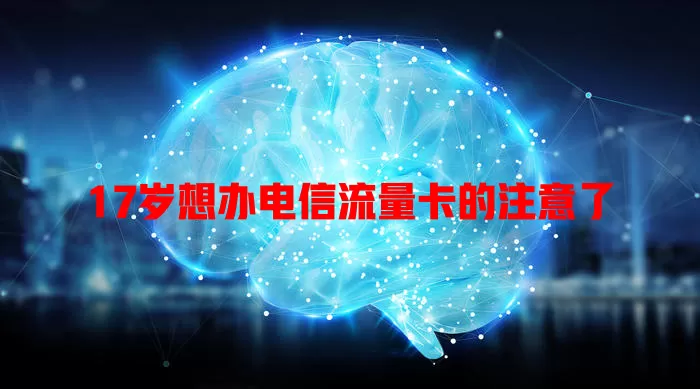 17岁想办电信流量卡的注意了