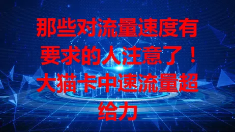 那些对流量速度有要求的人注意了！大猫卡中速流量超给力