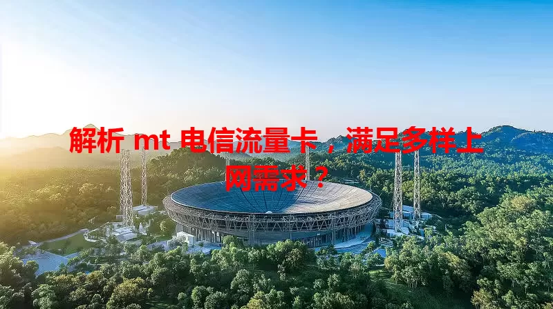 解析 mt 电信流量卡，满足多样上网需求？